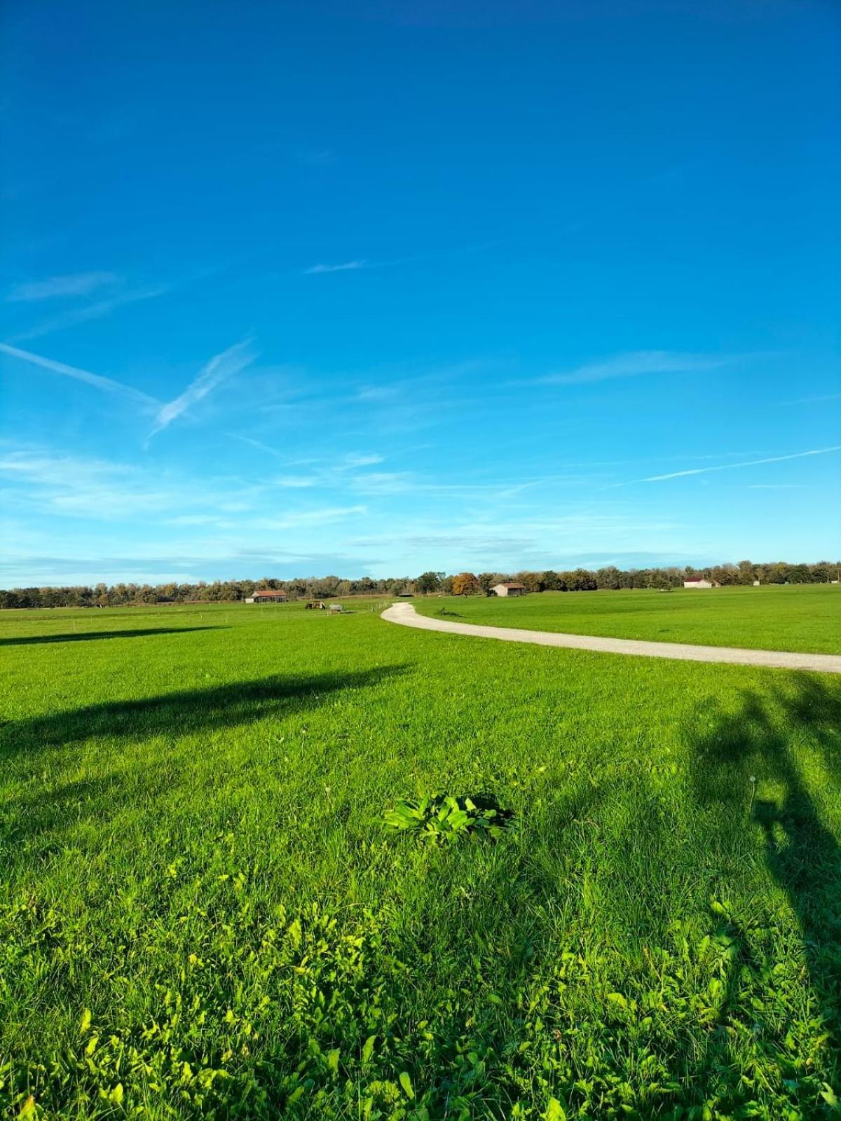 Feriennest Chiemseeglueck